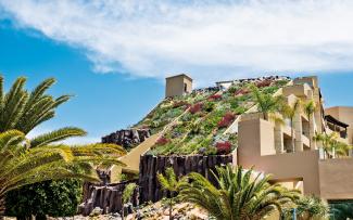 Steep pitched green roof with colourful vegetation